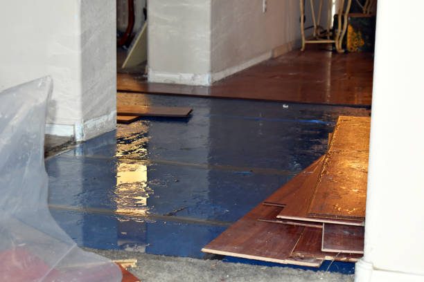 Professional Flood Damage Repair technician working in Harper, KS